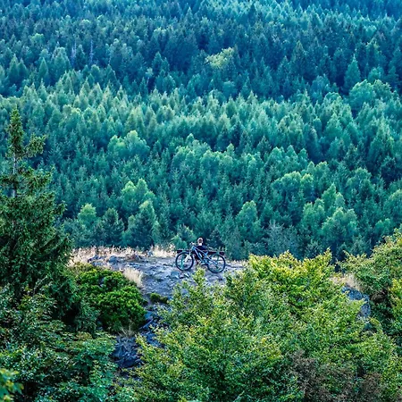 Weitsicht Сasa de vacaciones Großschönau