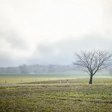 Weitsicht Großschönau